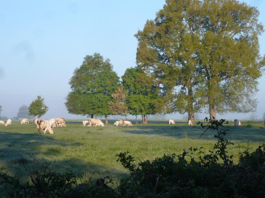 Bed and Breakfast La Thibaude - Livry Livry  Екстер'єр фото